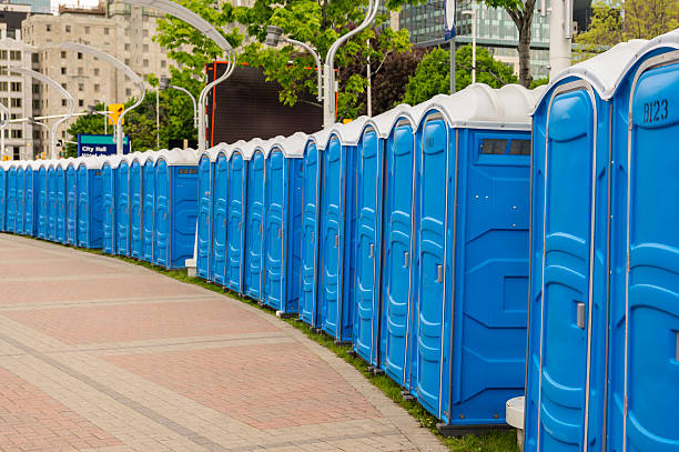 Best Standard Portable Toilet Rental  in Pilot Mountain, NC